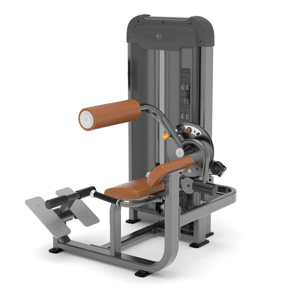 Спина/пресс AnyFit PS06-84